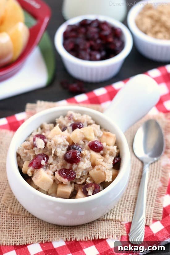 Cranberry Apple Slow Cooker Steel-Cut Oatmeal Recipe 2 Hearty oatmeal gets a tangy twist with Craisins® and fresh apples. Bonus! This cranberry apple oatmeal is made in the slow cooker for a hot breakfast ready when you are!