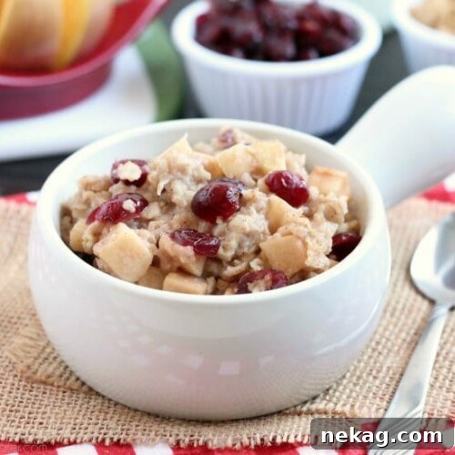 Cranberry Apple Slow Cooker Steel-Cut Oatmeal Recipe 11 Hearty oatmeal gets a tangy twist with Craisins and fresh apples. Bonus! This cranberry apple oatmeal is made in the slow cooker for a hot breakfast ready when you are!