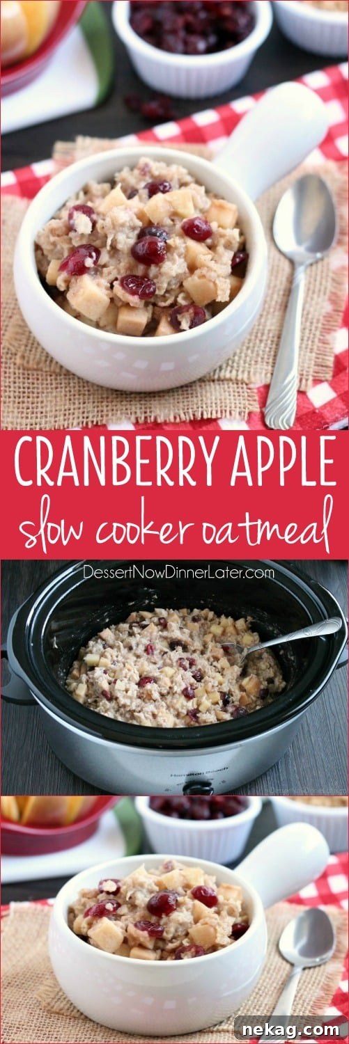 Cranberry Apple Slow Cooker Steel-Cut Oatmeal Recipe 12 Cranberry Apple Slow Cooker Oatmeal - Hearty oatmeal gets a tangy twist with Craisins® Dried Cranberries and fresh apples. Bonus! This cranberry apple oatmeal is made in the slow cooker for a hot and healthy breakfast ready when you are!