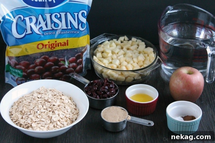 Cranberry Apple Slow Cooker Steel-Cut Oatmeal Recipe 5 Hearty oatmeal gets a tangy twist with Craisins® and fresh apples. Bonus! This cranberry apple oatmeal is made in the slow cooker for a hot breakfast ready when you are!