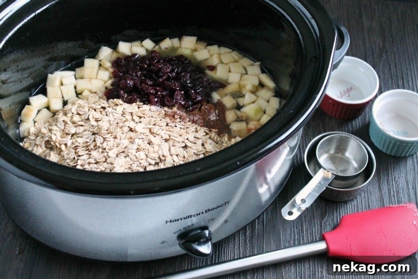 Cranberry Apple Slow Cooker Steel-Cut Oatmeal Recipe 6 Hearty oatmeal gets a tangy twist with Craisins® and fresh apples. Bonus! This cranberry apple oatmeal is made in the slow cooker for a hot breakfast ready when you are!