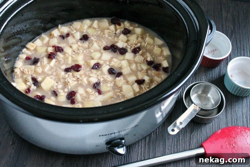 Cranberry Apple Slow Cooker Steel-Cut Oatmeal Recipe 7 Hearty oatmeal gets a tangy twist with Craisins® and fresh apples. Bonus! This cranberry apple oatmeal is made in the slow cooker for a hot breakfast ready when you are!