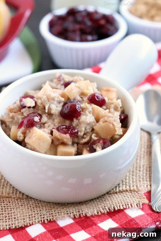 Cranberry Apple Slow Cooker Steel-Cut Oatmeal Recipe 10 Hearty oatmeal gets a tangy twist with Craisins® and fresh apples. Bonus! This cranberry apple oatmeal is made in the slow cooker for a hot breakfast ready when you are!
