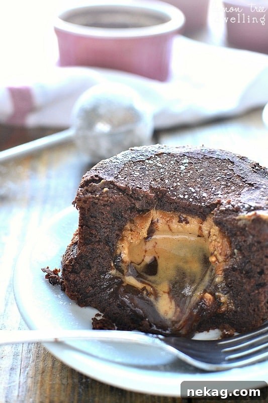 Chocolate Peanut Butter Lava Cake via Lemon Tree Dwelling