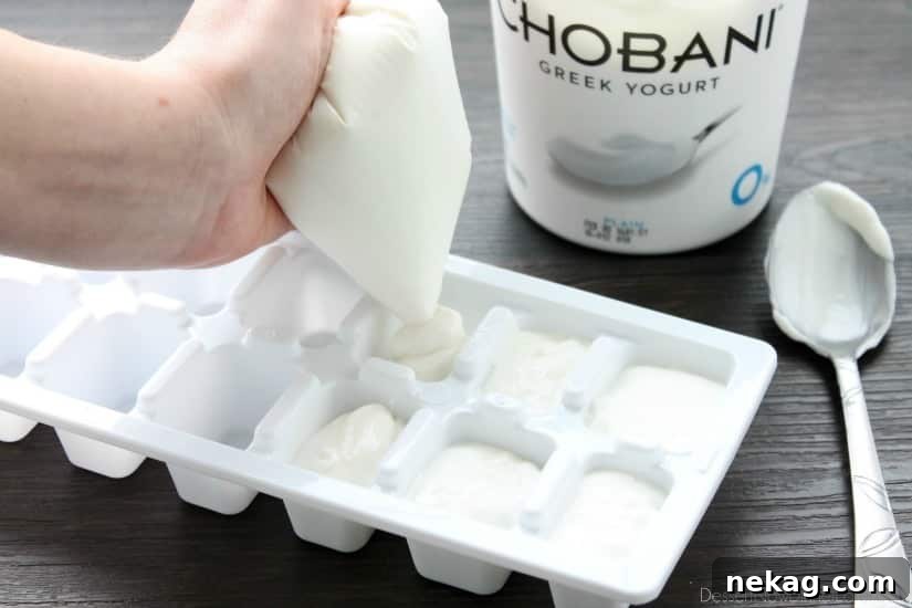 Make-Ahead Freezer Smoothie Packs with Step-by-Step Video 6 Freezer Smoothie Packs - yogurt