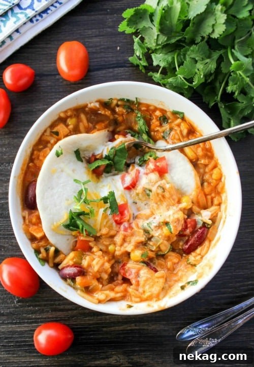10+ Soup Recipes To Warm You From The Inside Out // Food Holiday Bloggers