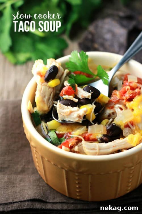 10+ Soup Recipes To Warm You From The Inside Out // Food Holiday Bloggers
