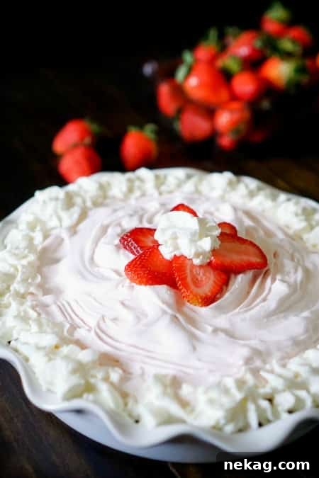 Frozen Strawberry Yogurt Pie