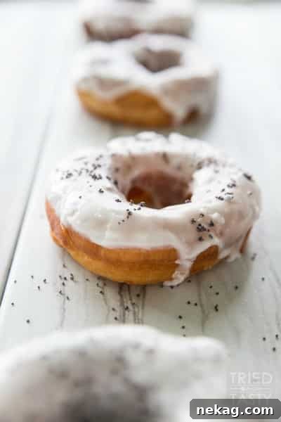 Copycat Blue Star Lemon Poppy Buttermilk Donuts // Tried and Tasty