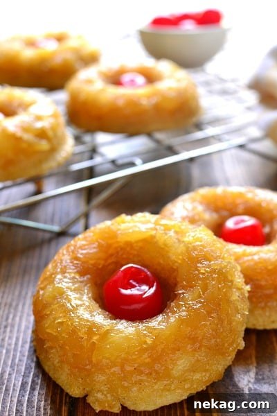 Pineapple Upside Down Donuts // Lemon Tree Dwelling