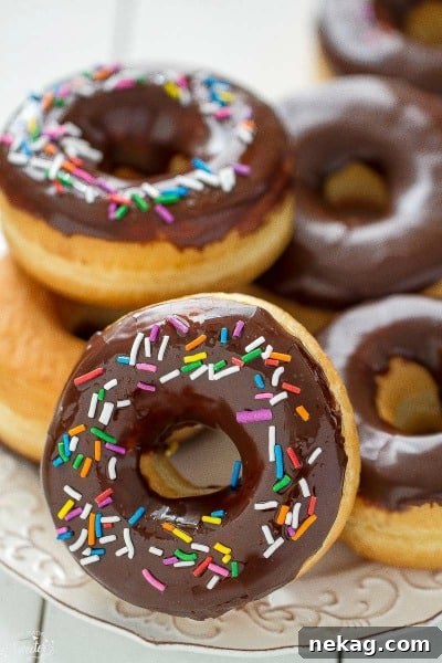 Chocolate Frosted Donuts with Sprinkles // Life Made Sweeter