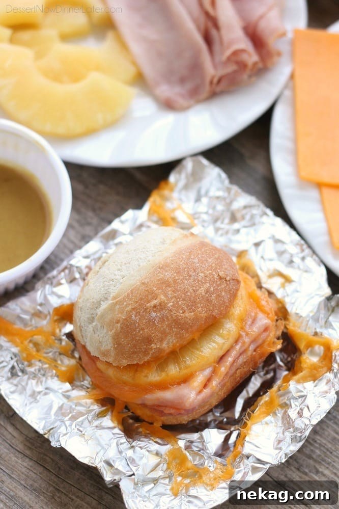 Campfire Ham and Pineapple Sandwiches with Gooey Cheese 2 These Hot Ham and Pineapple Campfire Sandwiches are a delicious and easy tin foil recipe. Plus cleanup is a breeze! (You can even bake these in the oven too!)