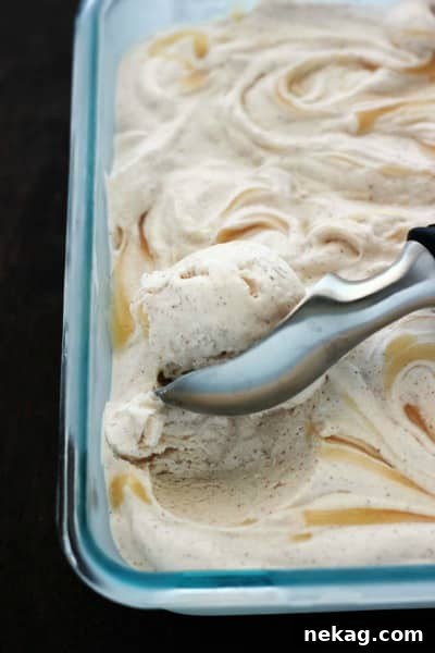 No-Churn Chocolate Chip Cookie Dough Ice Cream (Plus 10 More Recipes) 12 Honey Cinnamon Ice Cream // One Sweet Appetite