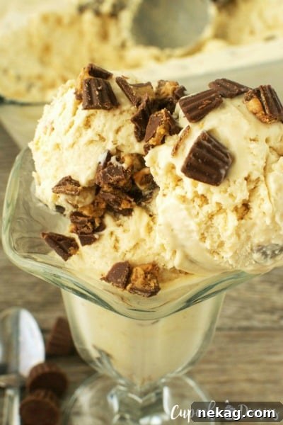 No-Churn Chocolate Chip Cookie Dough Ice Cream (Plus 10 More Recipes) 13 Peanut Butter Cup Ice Cream // Cupcake Diaries