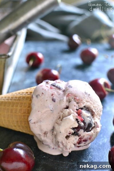 No-Churn Chocolate Chip Cookie Dough Ice Cream (Plus 10 More Recipes) 14 No Churn Cherry Vanilla Ice Cream // Lemon Tree Dwelling