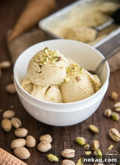 No-Churn Chocolate Chip Cookie Dough Ice Cream (Plus 10 More Recipes) 15 Pistachio Ice Cream // Like Mother Like Daughter