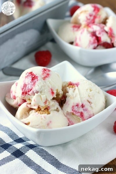 No-Churn Chocolate Chip Cookie Dough Ice Cream (Plus 10 More Recipes) 16 Raspberry Swirled Cheesecake Ice Cream // A Kitchen Addiction