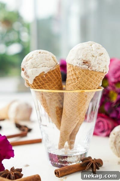 No-Churn Chocolate Chip Cookie Dough Ice Cream (Plus 10 More Recipes) 17 No Churn Chinese Five Spice Ice Cream // Sugar & Soul