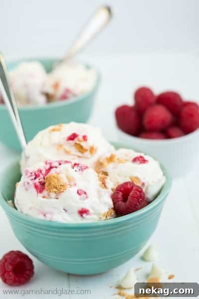 No-Churn Chocolate Chip Cookie Dough Ice Cream (Plus 10 More Recipes) 18 No Churn White Chocolate Raspberry Cheesecake Ice Cream // Garnish & Glaze