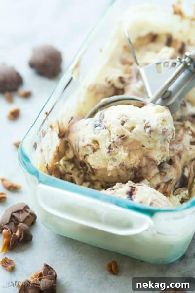 No-Churn Chocolate Chip Cookie Dough Ice Cream (Plus 10 More Recipes) 10 No Churn Turtle Ice Cream // The Recipe Rebel