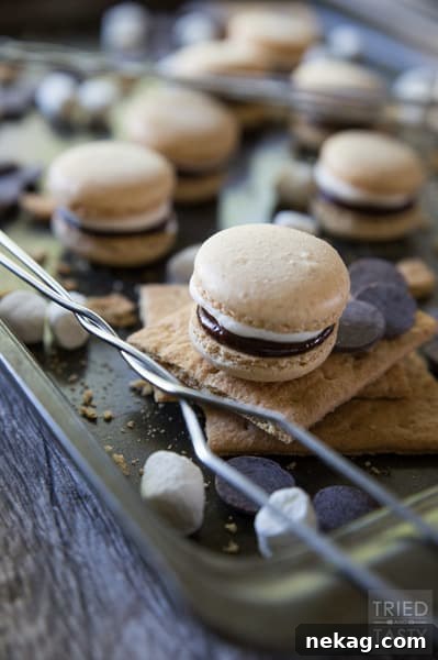 S'mores French Macarons // Tried and Tasty