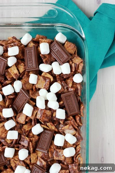 S'more Cereal Treats // One Sweet Appetite