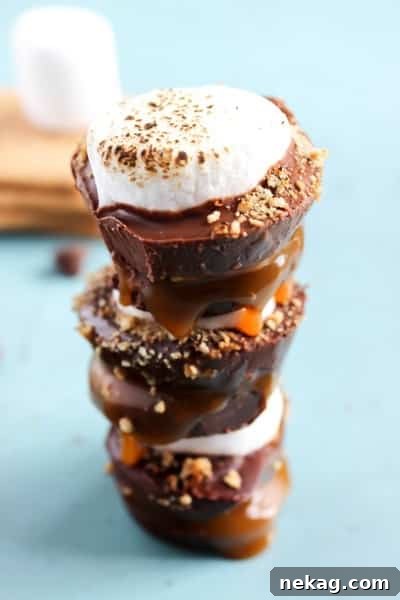 No-Bake Caramel S'mores Cups // A Dash Of Sanity