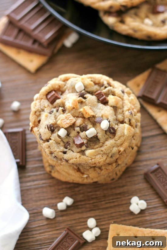 These S'mores Cookies are made with a graham cracker cookie dough, miniature chocolate chips, and marshmallows bits for a great alternative to campfire s'mores that is equally as tasty. 