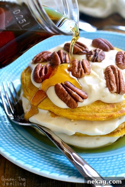 Pumpkin Cheesecake Pancakes // Lemon Tree Dwelling