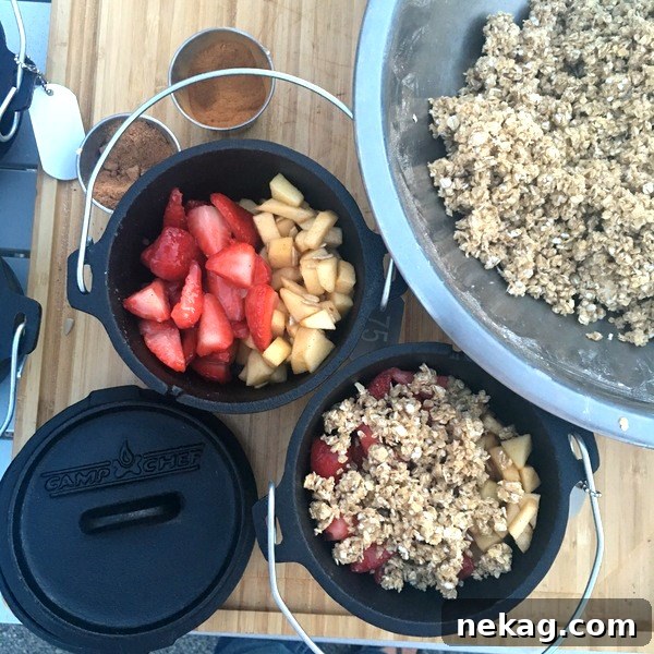 Personal Dutch Oven Strawberry & Apple Crisps.