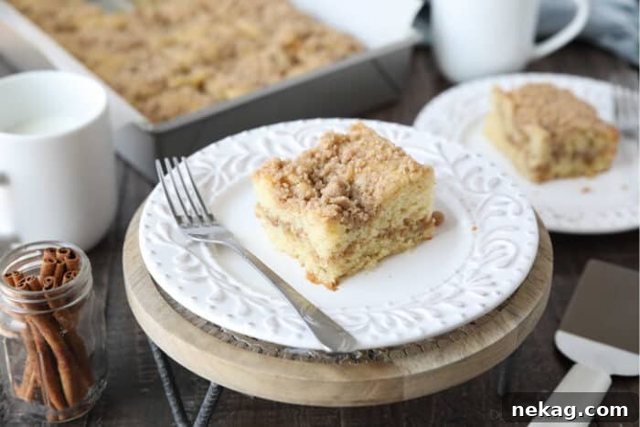 Moist Sour Cream Coffee Cake Recipe with Cinnamon Streusel 4 Plate of streusel topped cake with a fork on the side.