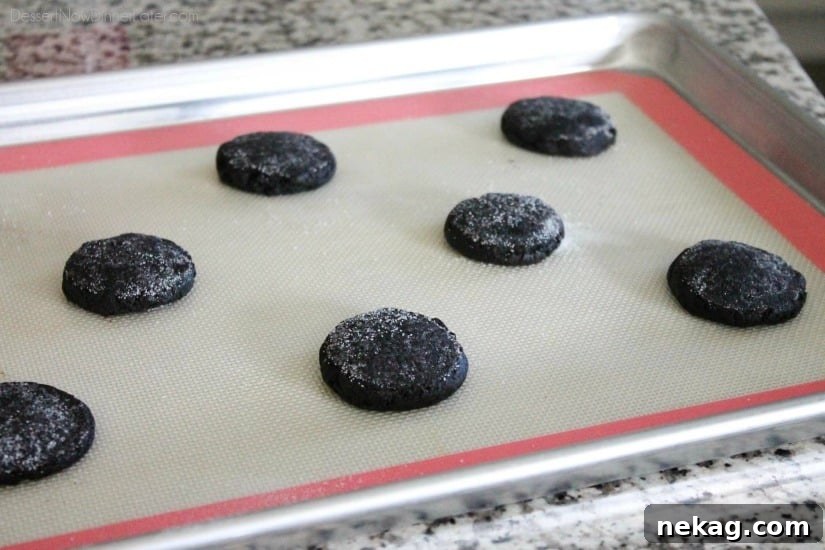 Fudgy dark chocolate sugar cookies are frosted with a creamy chocolate buttercream frosting. Inspired by Swig's Dirtball Cookie, these frosted chocolate sugar cookies are sure to be a new favorite!