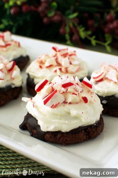 Chocolate Cookies with Peppermint Buttercream Frosting