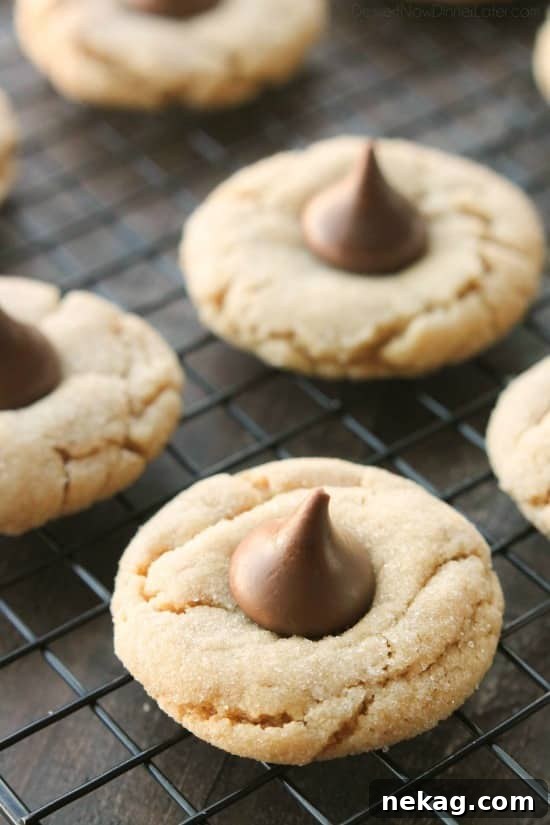 Freshly baked Peanut Butter Blossoms with chocolate centers