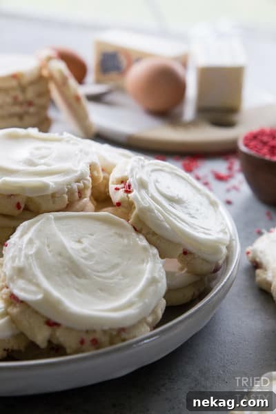 Peppermint Swig Style Sugar Cookies