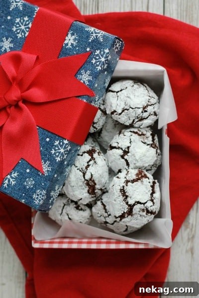 Chocolate Crinkle Cookies