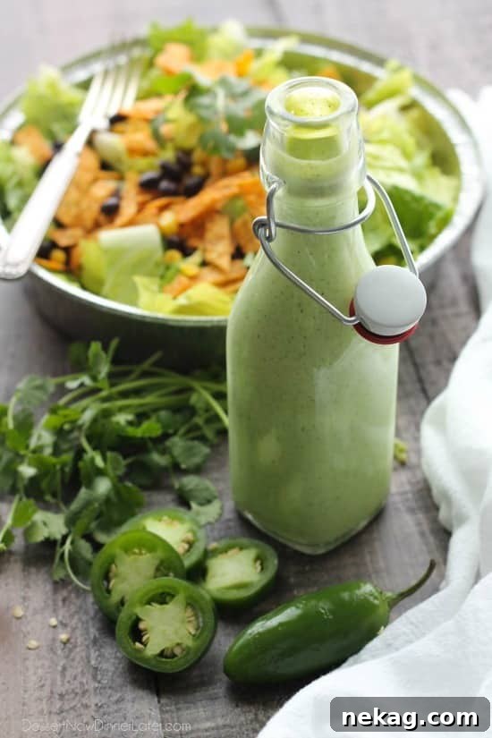 This Cafe Rio Style Cilantro Ranch Dressing is tangy, super creamy, and has a just the right kick of jalapeño. You'll want to put it on everything!