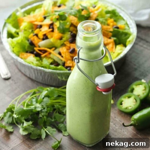 This Cafe Rio Style Cilantro Ranch Dressing is tangy, super creamy, and has a just the right kick of jalapeño. You'll want to put it on everything!