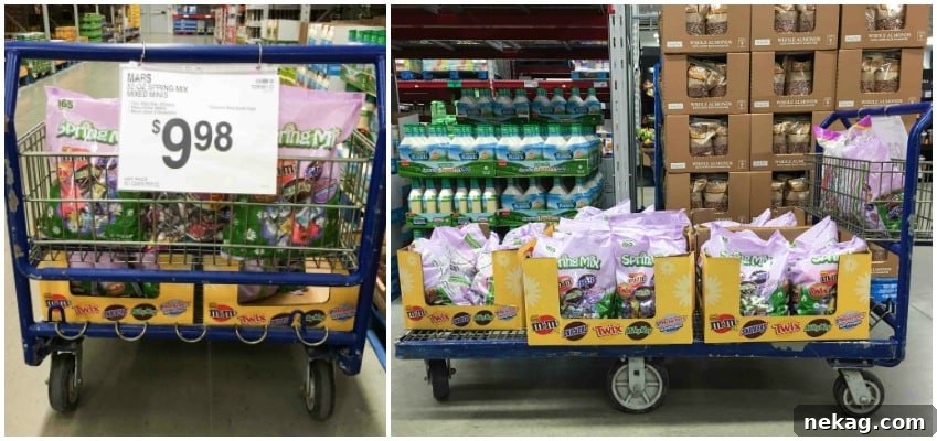 MARS® Spring Mix at Sam's Club