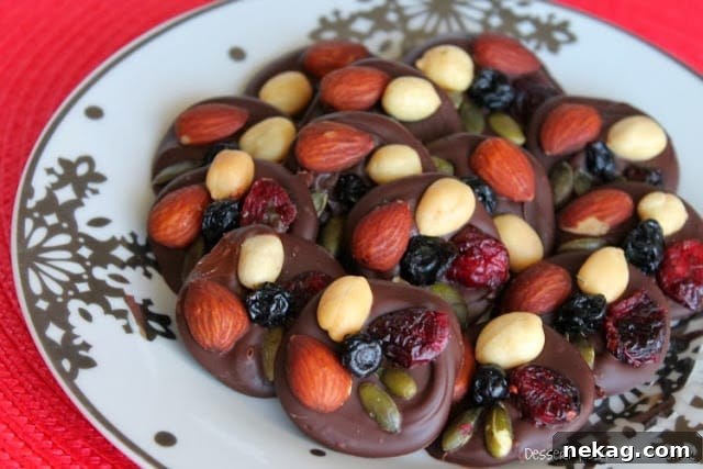 Dark Chocolate Trail Mix Energy Bites: No-Bake Snack Recipe 3 img 17 2