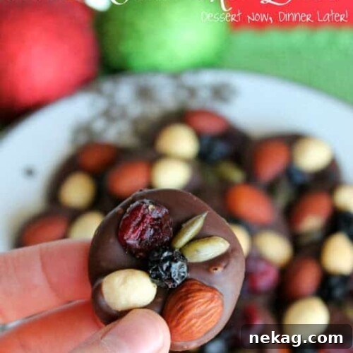 Dark Chocolate Trail Mix Energy Bites: No-Bake Snack Recipe 4 img 17 3