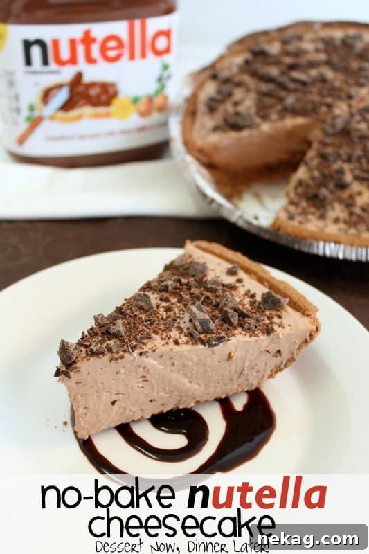 No-Bake Nutella Cheesecake is made with only 6 ingredients for a frozen chocolate dessert worth gawking over!