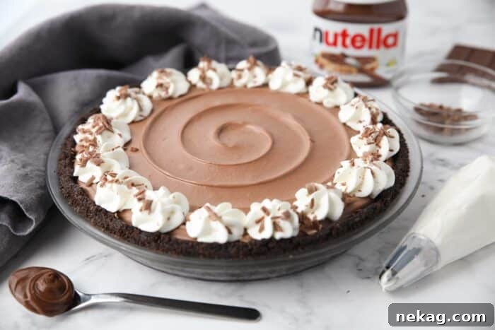 Side view of no bake Nutella cheesecake made in a pie pan.