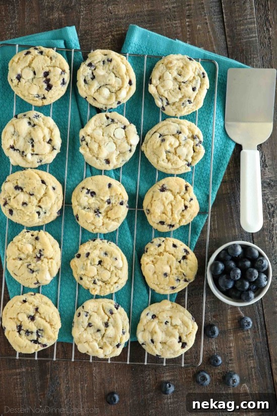 Blueberry Cheesecake Cookie Recipe: Soft, Creamy Bites 4 Blueberry Cheesecake Cookies are made with a muffin mix for a fruity, soft, and chewy cookie studded with creamy white chocolate chips. A quick and easy dessert!
