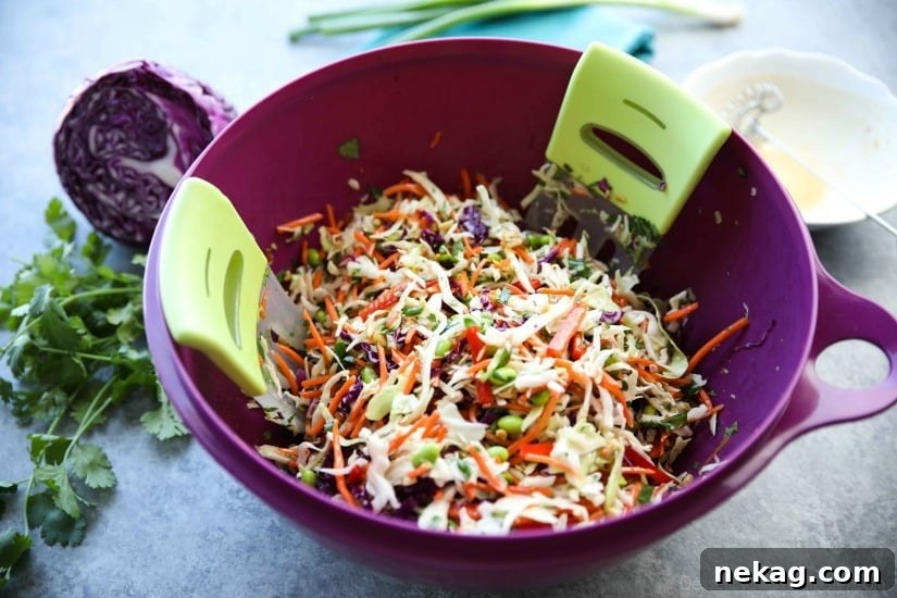 Crunchy Asian Slaw with Creamy Peanut Sauce