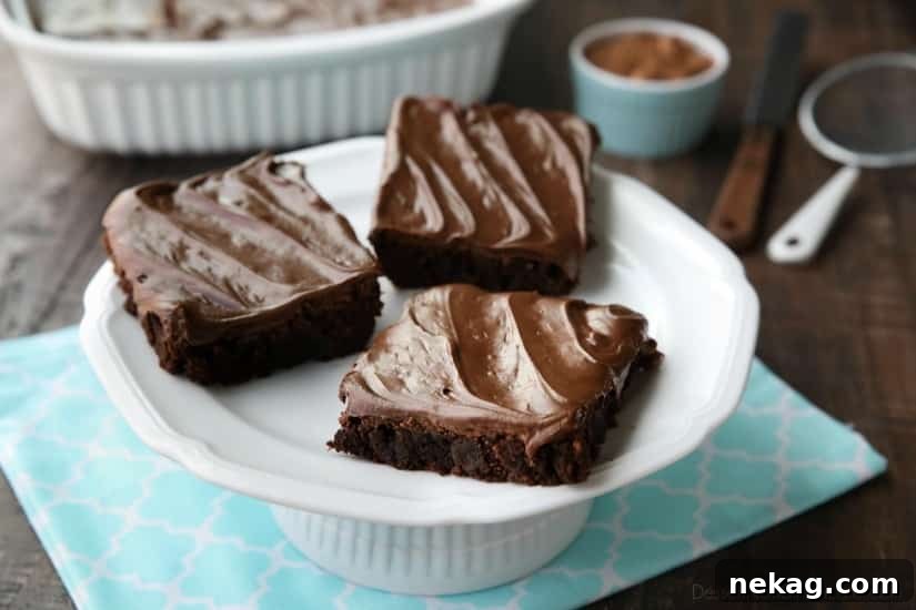 Fudgy brownie square topped with chocolate frosting