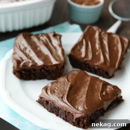 Frosted Fudge Brownies recipe image