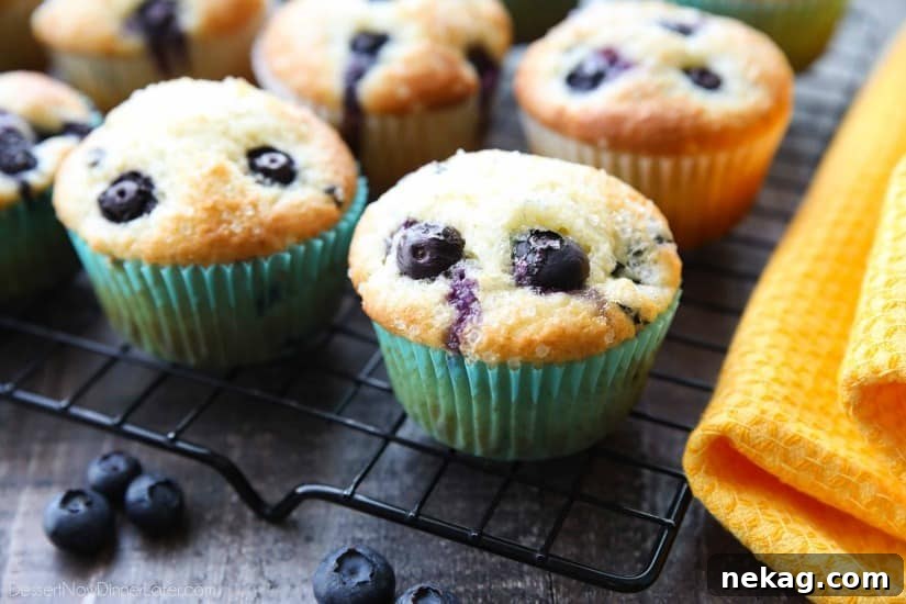 These Blueberry Muffins are so easy to make! With plump blueberries throughout and coarse sugar sprinkled on top, you'll love nibbling on these tasty muffins for breakfast (or brunch)!