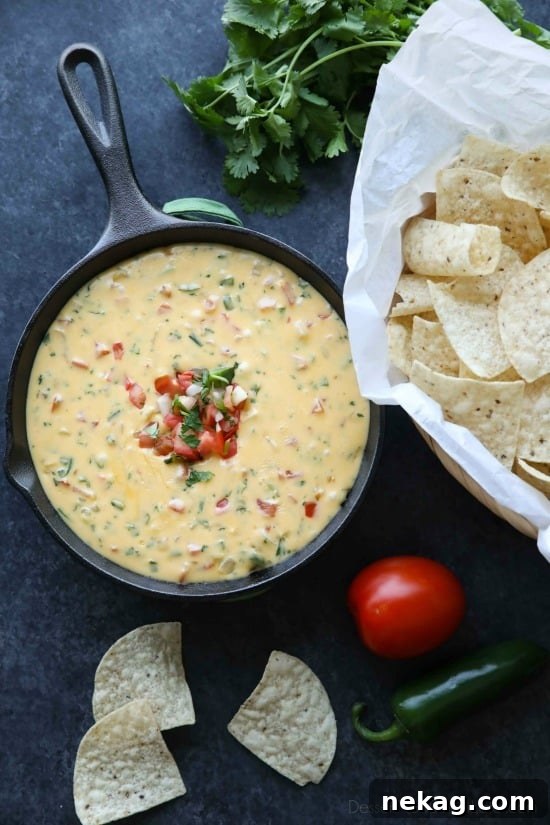 Close-up of creamy queso dip