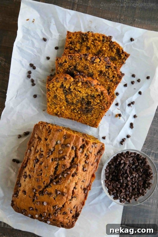 Pumpkin Chocolate Chip Bread Recipe with Video Tutorial 3 This Pumpkin Chocolate Chip Bread recipe makes two loaves and uses one full can of pumpkin. Save one loaf for you and take the other to a friend, or freeze the second loaf to enjoy later on. This bread is simple, classic, and delicious!